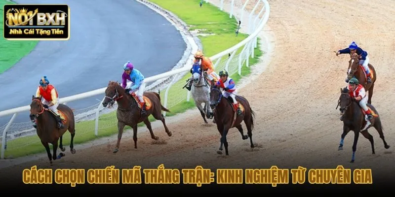 cach-chon-chien-ma-thang-tran-kinh-nghiem-tu-chuyen-gia cach-chon-chien-ma-thang-tran-kinh-nghiem-tu-chuyen-gia