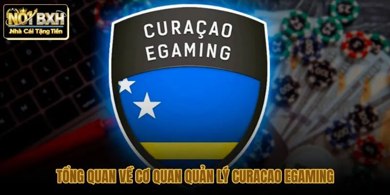 tong-quan-ve-co-quan-quan-ly-curacao-egaming tong-quan-ve-co-quan-quan-ly-curacao-egaming